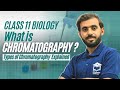 Chromatography | Class 11 Biology Lecture | Paper &amp; Column Chromatography in Urdu #chromatography