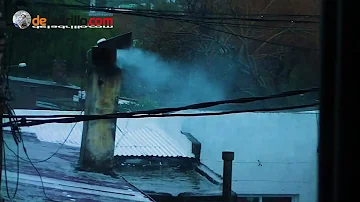 ¿Qué es lo que hace ruido en mi chimenea?