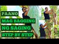 PAANO MAGBAGGING NG SAGING#STEP BY STEP#(LAKATAN)@ mga kaalaman ni jeron