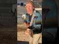 GOD I HATE 1st verse - no EFFECTS, no AUDIO MIX - just #livemusic #soloperformance #acoustic