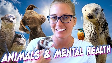 Biologist Reveals How Animals Are Good For Your Mental Health