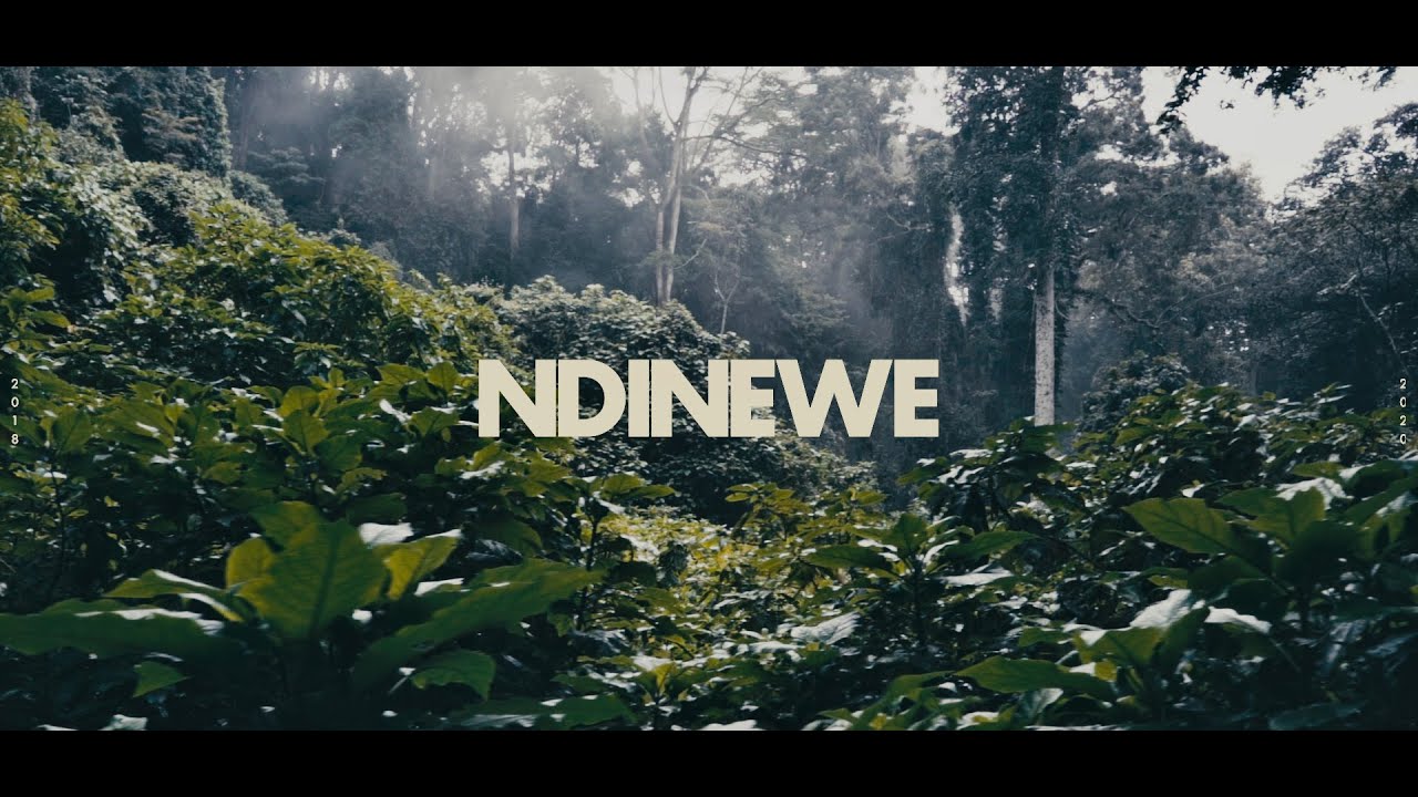 NDINEWE - Gemma Griffiths