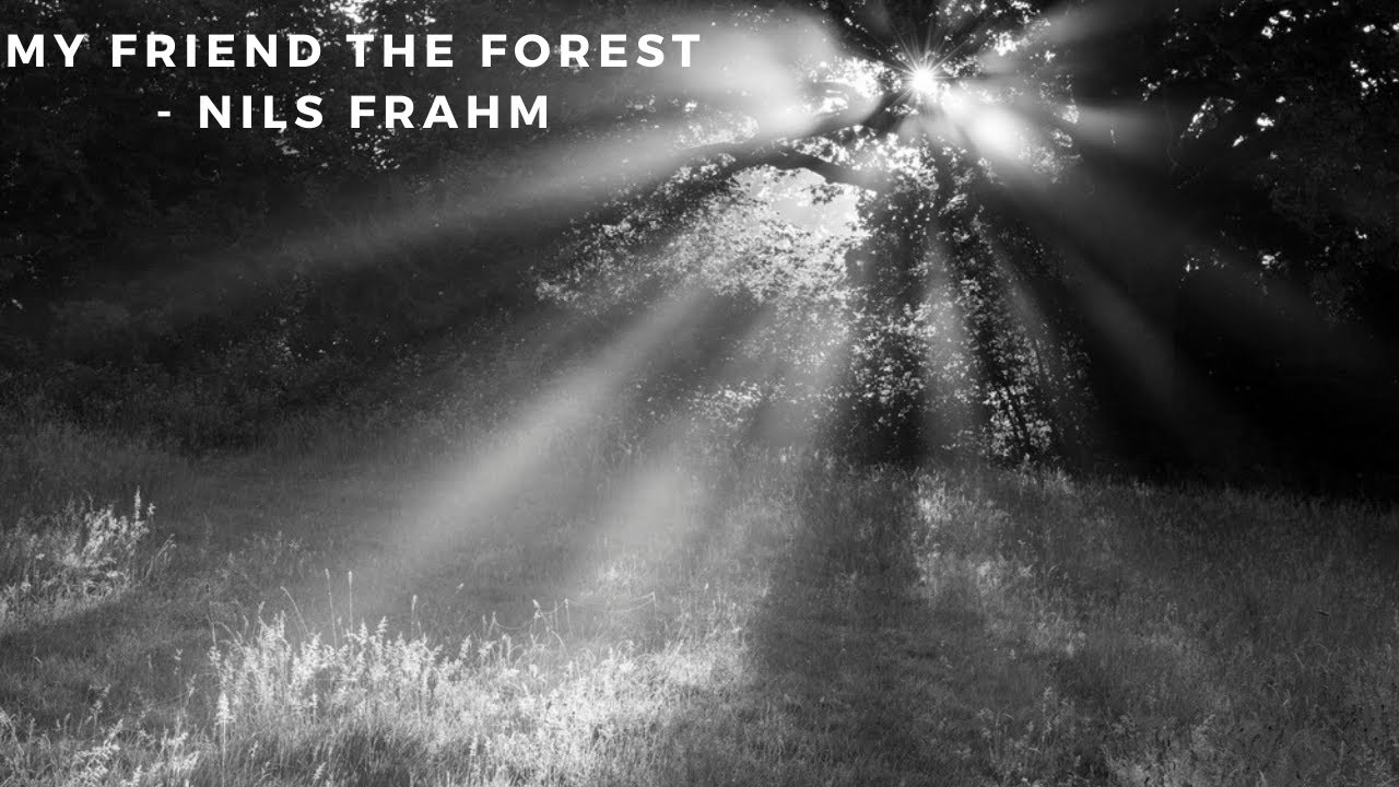 My Friend the Forest - Nils Frahm (Cover)