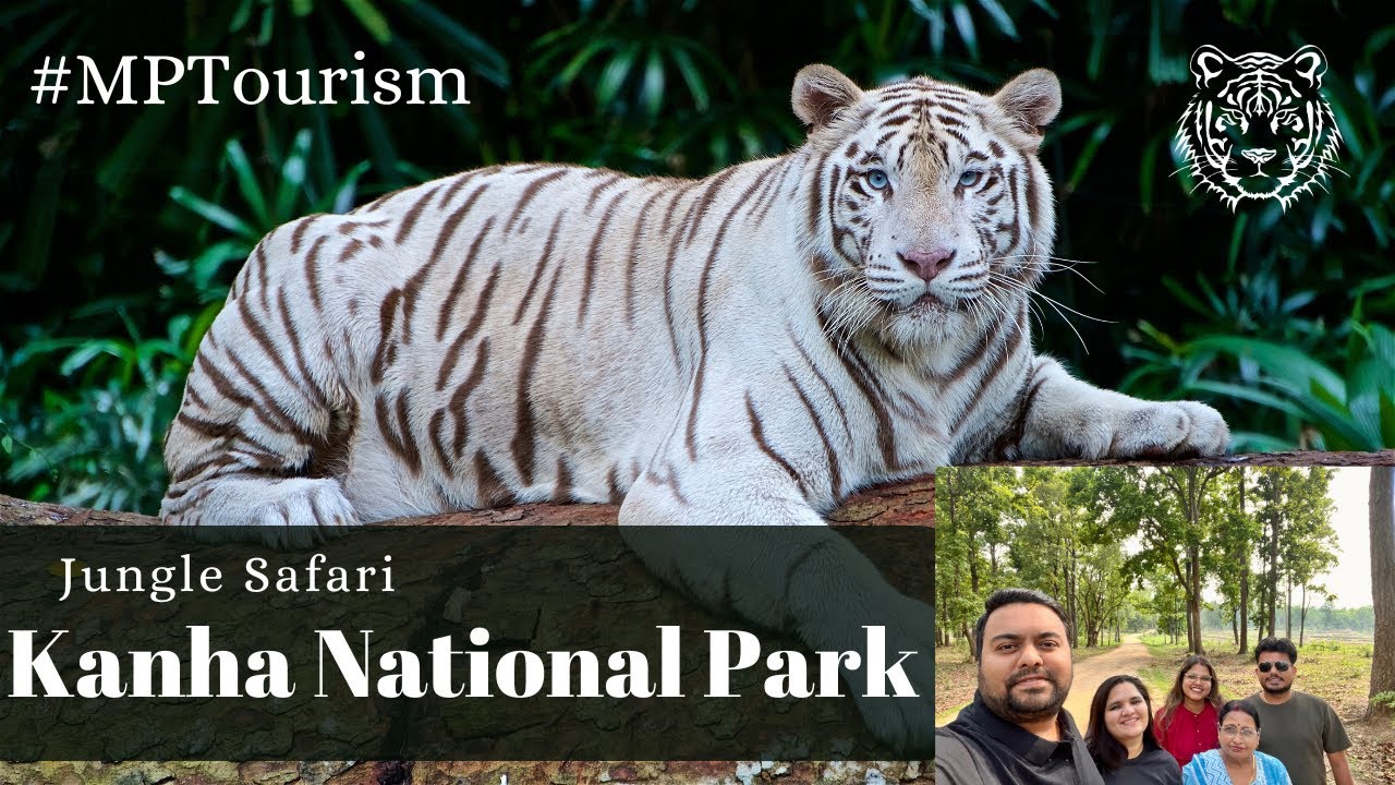 Kanha National Park Jungle Safari | Mogli Resort | Raipur to Kanha