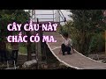 Cầy cầu hài hước. Sa Đéc . đồng tháp.