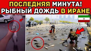 Срочный! Посмотрите, как ИРАН получает знак от БОГА - Рыбный дождь | БИБЛЕЙСКИЕ ПРОРОЧЕСТВА