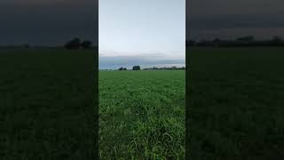 Campo, hectáreas en venta. Recreo santa fe