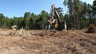 So Dry I Can't Burn:  Piles Keep Getting Bigger!