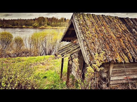 Брошенные деревни Архангельской области.