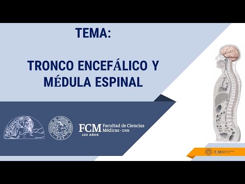 Vídeo: Enfermedades Relacionadas Con KARS: Leucoencefalopatía Progresiva Con Calcificaciones Del Tronco Encefálico Y La Médula Espinal Como Nuevo Fenotipo Y Una Revisión De La Literatura