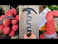 Best Oddly Satisfying Video | Những video thỏa mãn người xem trên Tik Tok #71