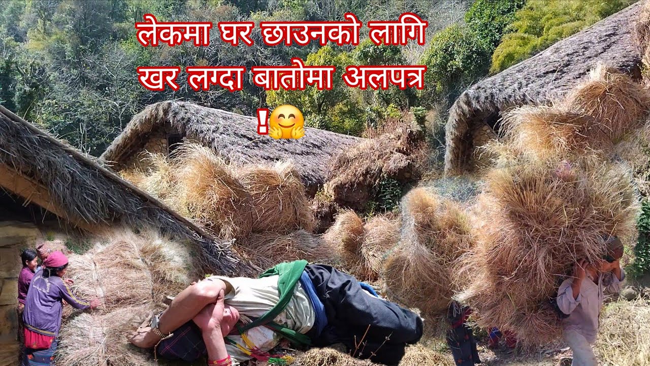 लेकमा घर छाउन को लागि खर लग्दा😗बाटो मा अलपत्र परियो!🤗kabitavlogs3..