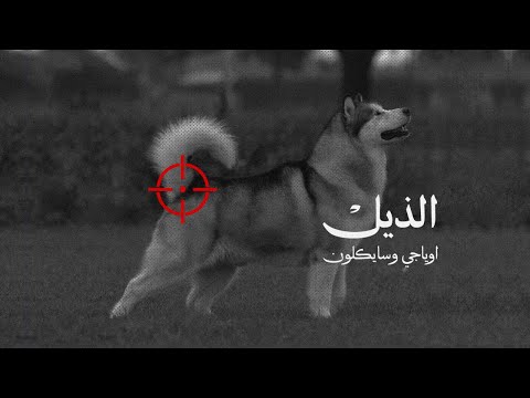 OYaJI ft. cYcLoNe | الذيل