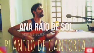 Ana Raio de Sol | Plantio de Cantoria | Vinicius Zurlo | Música Autoral | Voz e Violão