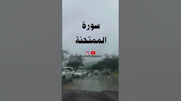 سورة الممتحنة surat al mumtahina #اكسبلور #صباح_الخير #راحة_نفسية