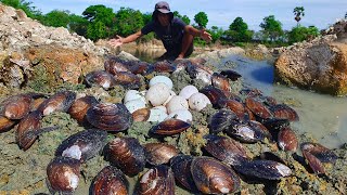 came ashore in groups clams Hiding in the mud, I'm excited to find a lot of big clam and Duck eggs