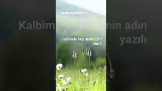 Sayfamı Takip Edip Beyeni Paylaşım Desteğiniz Eksik Etmeyintüm Hülyalara Gelsi̇n 🍀🙋🏻‍♀️🍀