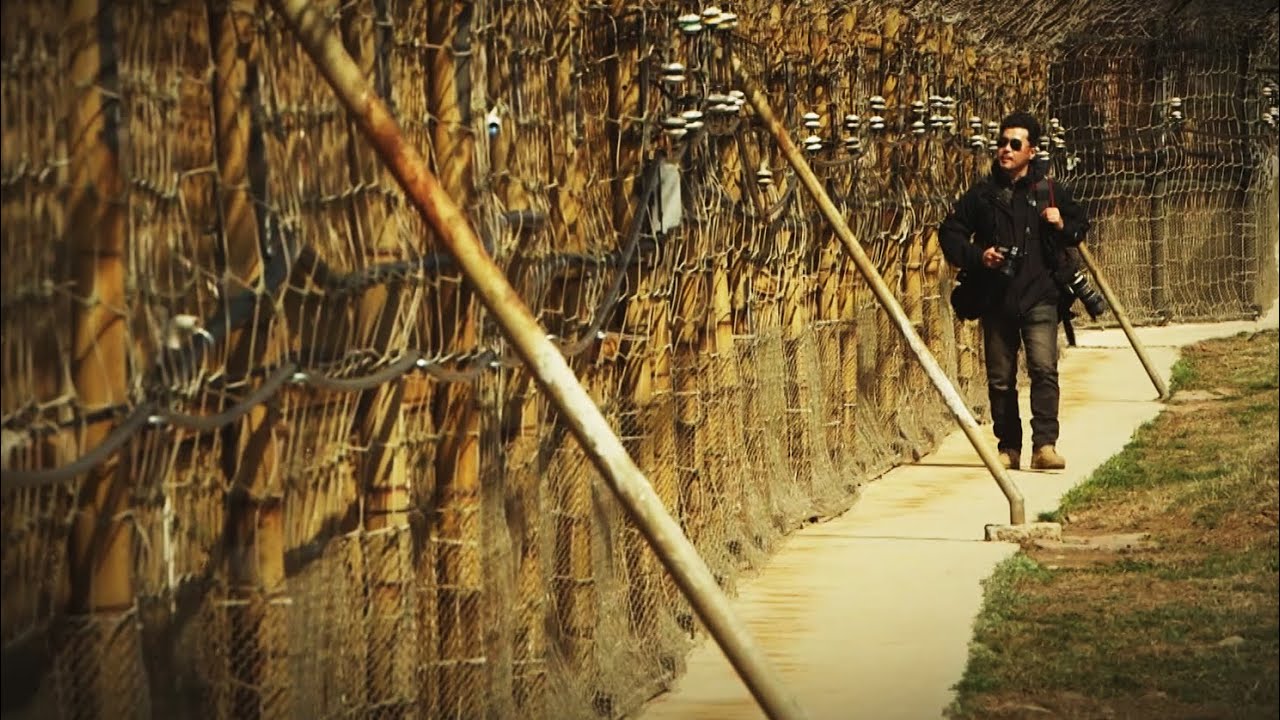 [zoom in DMZ] 사진작가, DMZ의 삶을 담다 - YouTube