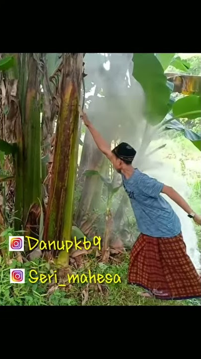 Story wa lucu 'pengambilan sempak genderuwo'
