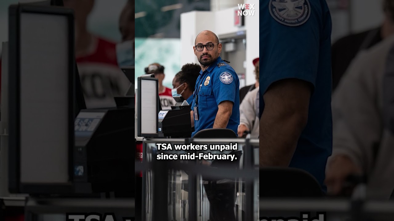 TSA officers to be paid as early as Monday, Homan says
