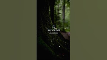 #ياسر_الدوسري 🥺تلاوة خاشعة #اللهم_صل_وسلم_على_نبينا_محمد #تلاوة_نادرة_لاول_مرة #quran #islam #allah