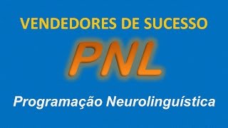 Vendedor de Sucesso - Dr. Salomão screenshot 2