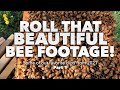 &quot;Roll That Beautiful Bee Footage!&quot; | A recap of our favorite footage from 2021 [Part 2 coming soon!]