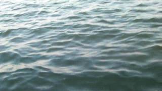 へち釣り20100605