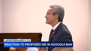 Critics raise concerns of Senate bill that would ban DEI in NC schools