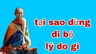 Tại sao sư Minh Tuệ dừng đo bộ lý do gì