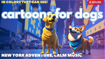 Cartoons for Dogs to Watch, in Colors They Can See! Adventure in New York 🗽💙🐾 With Calming Music ✨