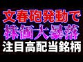 文春砲発動で株価大暴落！注目高配当銘柄紹介