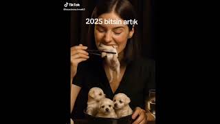Bitsin Artık 2025