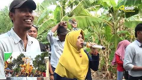 CINTA BAYANGAN SINGA DANGDUT PA