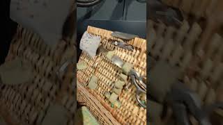 Old seamstress's bike shortvideo #shorts #short #oldtimer #fyp #bike #bikelife #youngtimer