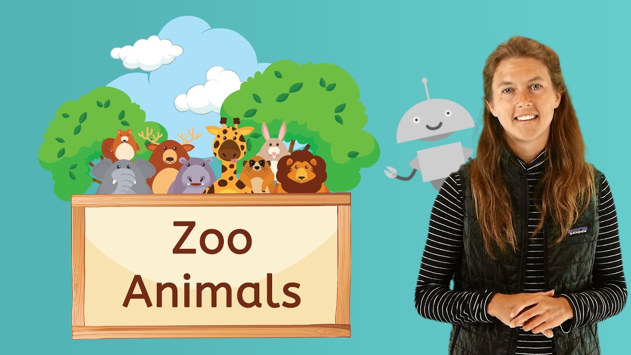 What Animals Would You See at the Zoo? - YouTube