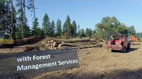 Forest Management Services_1