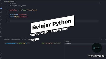 Belajar Python Dasar Untuk Pemula - tuple with length and type