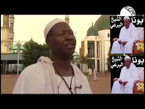 اخونا صديق تبيدي كرامات الشيخ البرعي