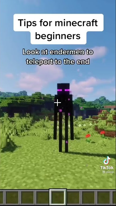 Minecraft #shorts #viral(2)