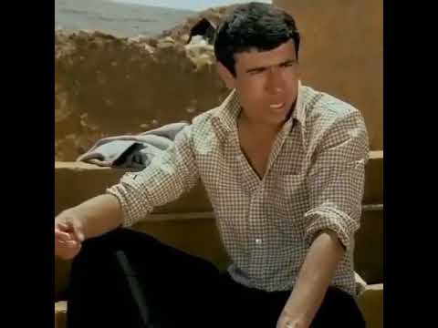 Horoz , tavık , iki yüzlük 😂😂😂 vala bi halt karıştıriyi bu feyzo 😂😁😀