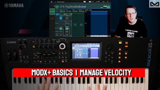 How to add a part and manage velocity layer on your Yamaha MODX+, MODX & Montage