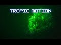 Tropic Motion – No Copyright Chillwave | Ambient Bass &amp; Retro Flow [Free Use Music]