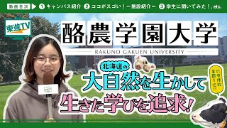 酪農学園大学獣医学群 動物好きな人は必見 学びの現場からの特別レポート Youtube