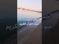 القارئ ماهر المعيقلي تلاوه خاشعة بصوت جميل اللهم اجعل القرآن ربيع قلوبنا ونور صدورنا# سوره الرحمن 💓