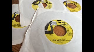 Mount Jerusalem/Like Mountain Riddim Mix 1997 (Sizzla, Red Rose, Anthony B, Jah Cure  &amp; more)