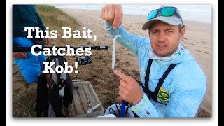 KOB BAIT Presentation! QUICK , SIMPLE ,EASY and VERY EFFECTIVE!