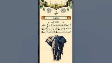 القارئ الشيخ احمد العجمي سورة الفيل #سورة_الفيل #القرآن_الكريم #المصحف #احمد_العجمي #القرآن #قرآن