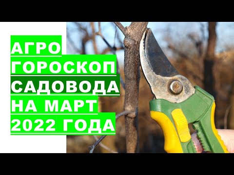 Агрогороскоп садовода на март 2022 года