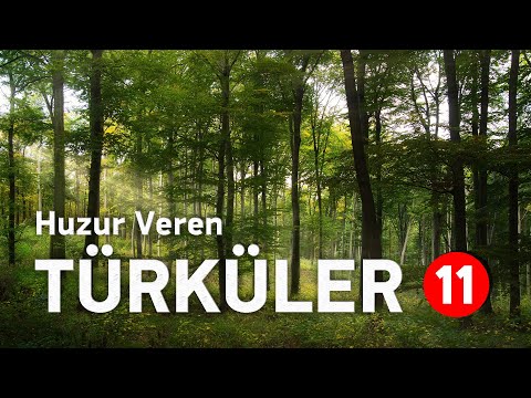 HUZUR VEREN TÜRKÜLER \